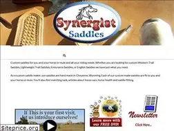 Sites similar to synergistsaddles.com