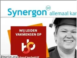 Sites similar to synergonsw.nl