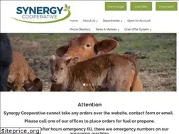 Sites similar to synergycoop.com