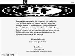 Sites similar to synergyjiujitsu.com