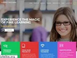 Sites similar to synergymaxlearn.com