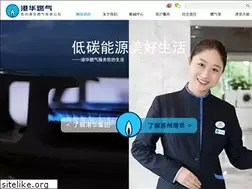 Sites similar to sz-towngas.com.cn