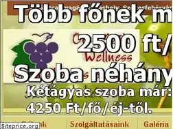 Sites similar to szekesfehervar-panzio.hu