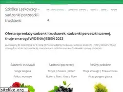 Sites similar to szkolka-laskowscy.pl