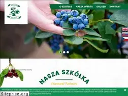 Sites similar to szkolkazielinscy.pl