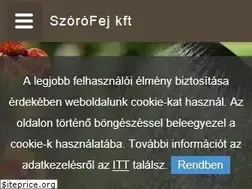 Sites similar to szorofejkft.hu