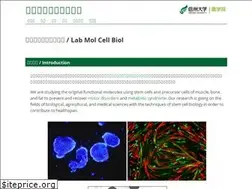 Sites similar to t-takaya.net