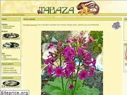 Sites similar to tabaza.info