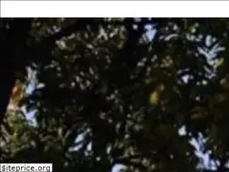 Sites similar to tabelafipe.site