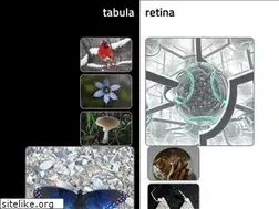 Sites similar to tabularetina.com