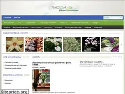 Sites similar to tacca.ru