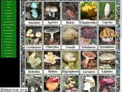 Sites similar to tachenon.com
