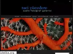 Sites similar to taciyucedere.com