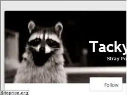 Sites similar to tackyraccoons.com