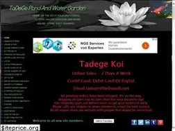 Sites similar to tadege.com