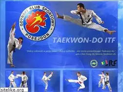 Sites similar to taekwon-do.com.pl