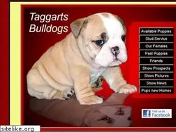 Sites similar to taggartsbulldogs.com