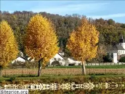 Sites similar to tagolsheim.fr