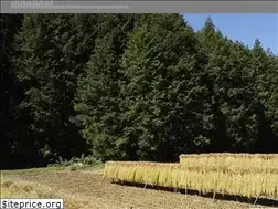 Sites similar to tahata.jp