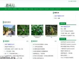Sites similar to tahua.net