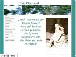 Sites similar to taiji-oberursel.de