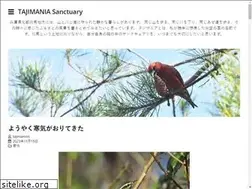 Sites similar to tajimamori.com