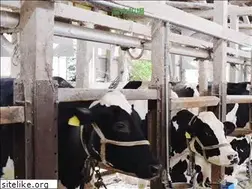 Sites similar to takagi-farm.com