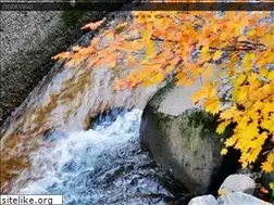Sites similar to takanekankou.or.jp