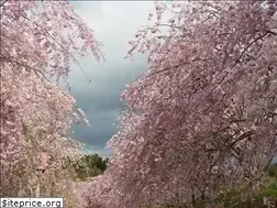 Sites similar to takebenomorikouen.com