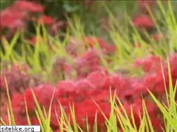 Sites similar to takeoka-hp.or.jp