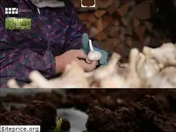Sites similar to takkogc.com
