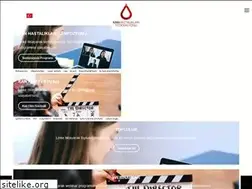 Sites similar to talasemi.org