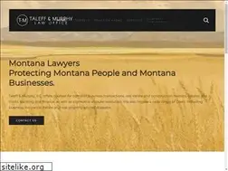 Sites similar to talefflaw.com