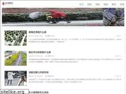 Sites similar to talentmanagementasia.com