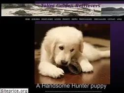 Sites similar to talinigoldens.com