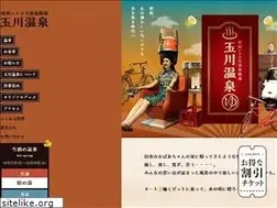 Sites similar to tamagawa-onsen.com