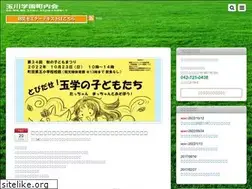Sites similar to tamagawagakuen-chonaikai.net