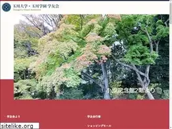 Sites similar to tamagawagakuyu.com