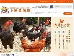 Sites similar to tamago-uehara.co.jp