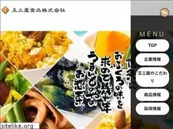 Sites similar to tamamiya.co.jp
