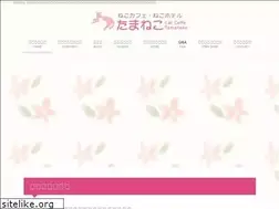 Sites similar to tamaneko.jp