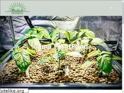 Sites similar to tamaplantfood.com