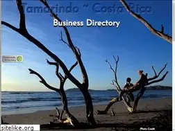 Sites similar to tamarindohomepage.com