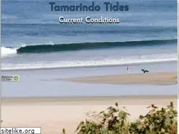 Sites similar to tamarindotides.com