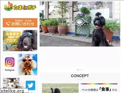 Sites similar to tamatopochi.com
