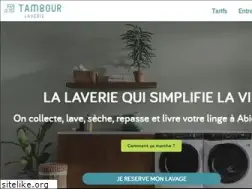 Sites similar to tambourlaverie.com