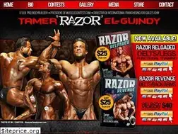 Sites similar to tamerelguindy.com