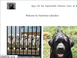Sites similar to tamerlanelabs.com