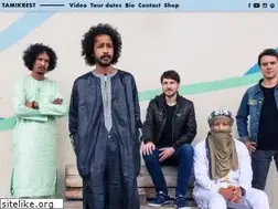 Sites similar to tamikrest.net