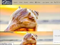 Sites similar to tampabayfloridacondos.com